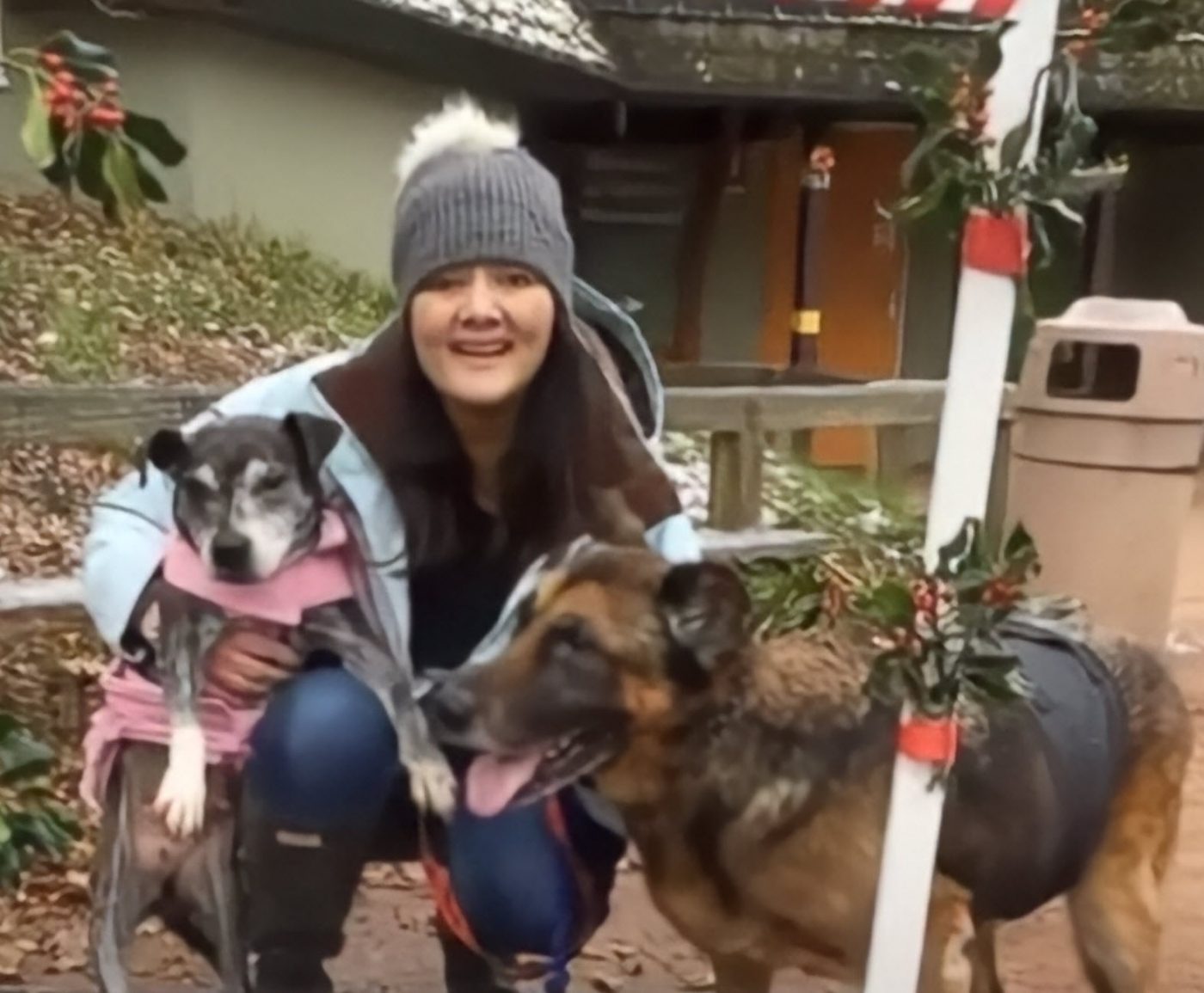 Retired Nurse Opens A Hospice For Dying Senior Dogs Who Are Dumped Without Love